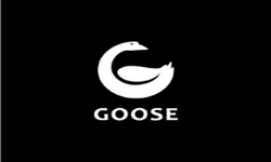 Goose Team