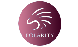 Polarity.fem