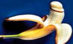 BANANA DICK-