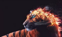 FIERY TIGER