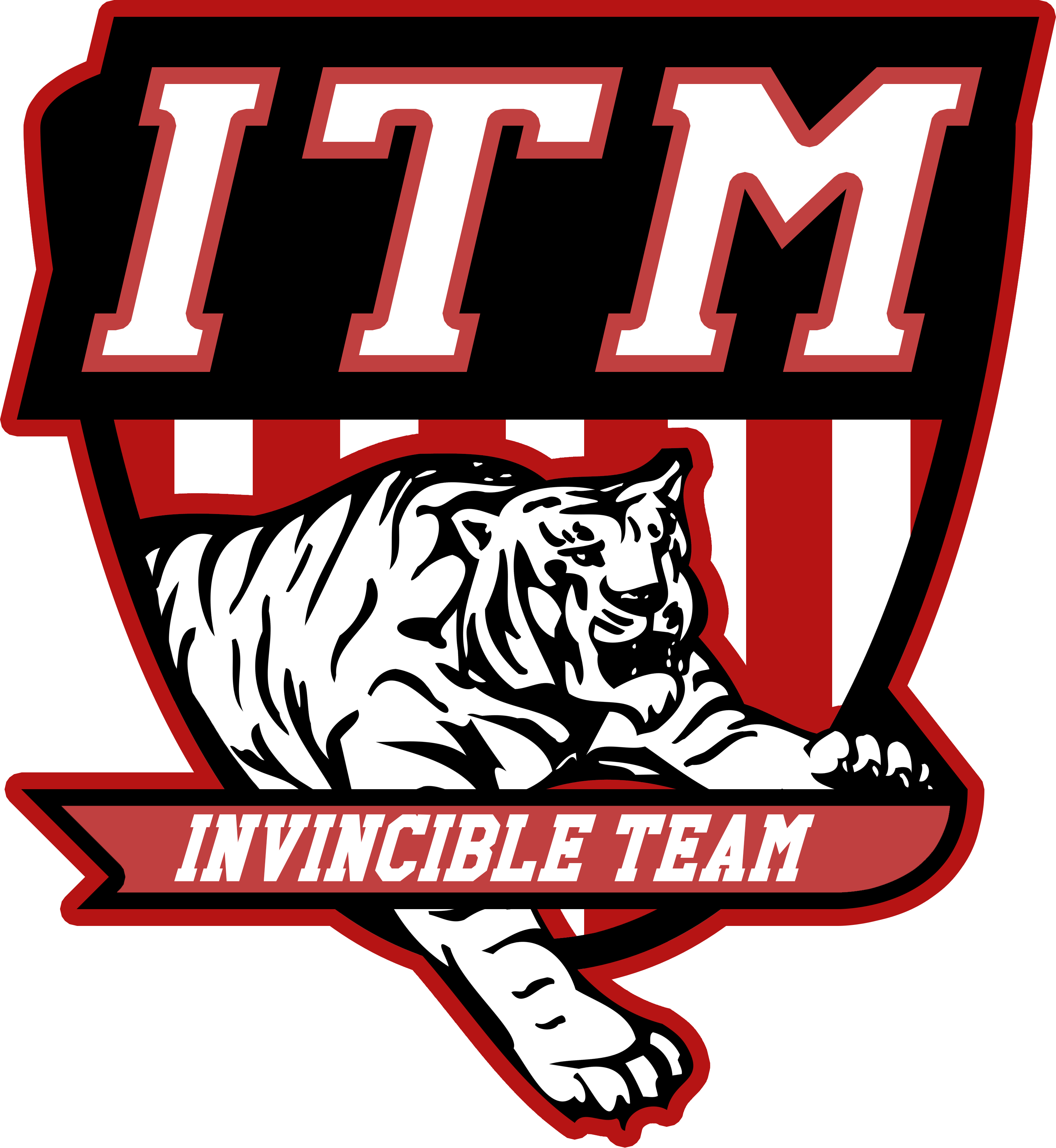 Invincible Tim