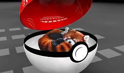 Raccoons In Pokeballs