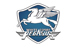 WHITE PEGASUS E-SPORTS