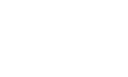 Team Xilent