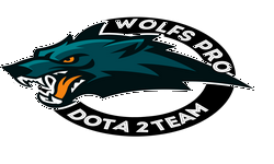 Wolfs-Pro Team