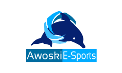 Awoski E-Sports