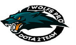 WOLFS_TEAM