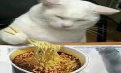 Forced to Eat Ramen