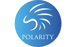 Polarity Dota 2