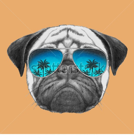 PUG$