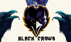 Black-=-Crows