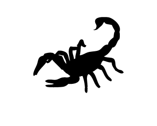 team-scorpion