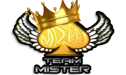 Team Mister