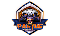 PARTUS `Gaming