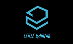 Litle Gaming