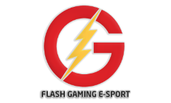 Flash Gaming E-Sport
