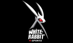 White Rabbit ~ newb