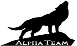 Alphaa Team