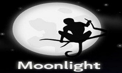 TeamMoonLighT