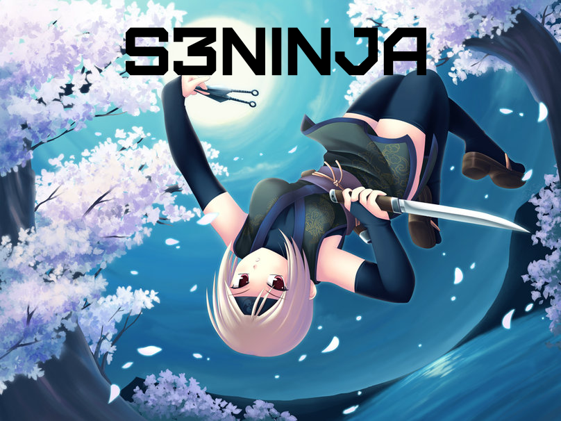 s3ninja