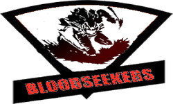 BlooDSeeker's Gaming