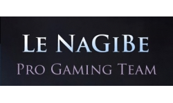 Le Nagibe Gaming Team