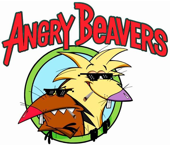 Angry Beavers !