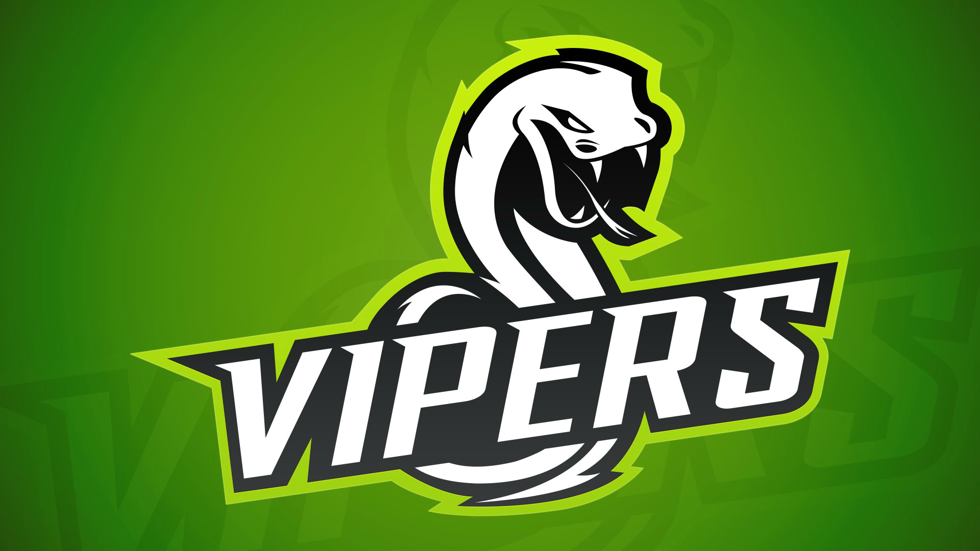 Vipers Gaming eSports