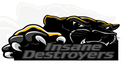 Team insane destroyers