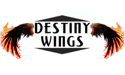 Destiny Wings