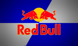 Red Bulls Teams Open