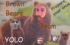 Brown Bears Team