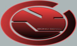 Bono_ sense