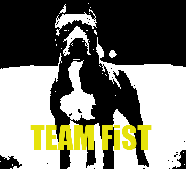 Team-FiST