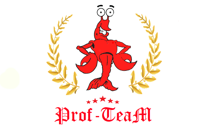 Prof-TeaM 