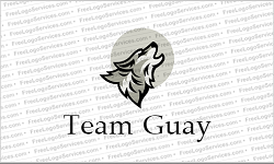 Team Guay