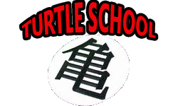 Turtle School