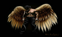 Fallen Angels Destroit