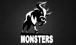 Monsters Bulls SA