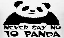 Never Say Noo 2 Panda