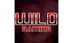Wild Gaming Project