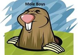 Mole Boys Reborn