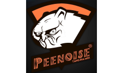 Virtus'Peenoise