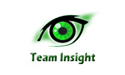 Team Insight