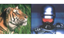 TigerRobocop