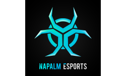 NaPalm E-Sports