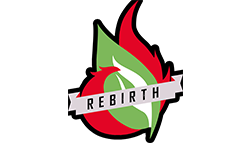 Rebirth eSports.INT