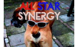 All Star Synergy