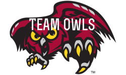 Team-Owls-