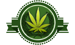 420 SW